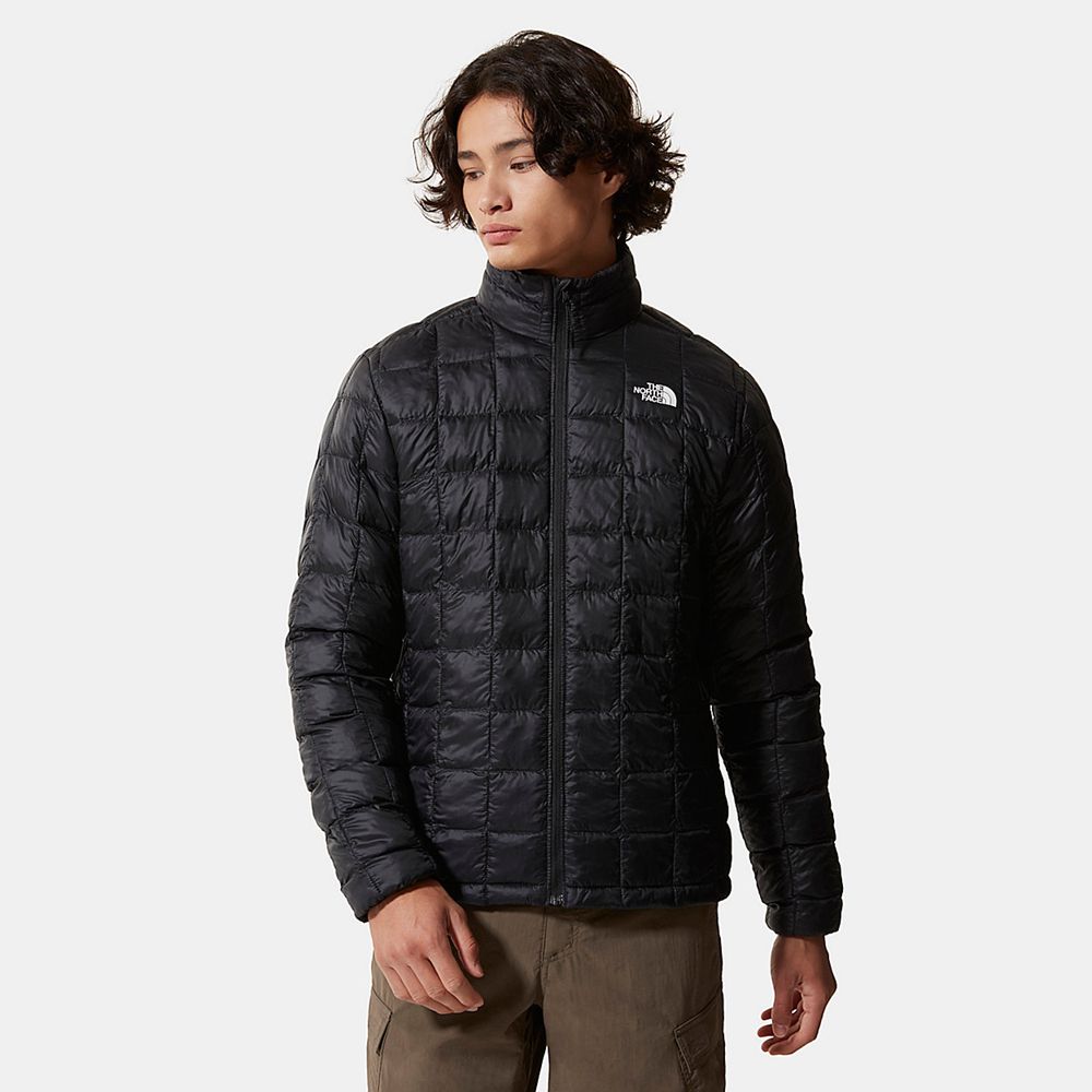 The North Face Insulated Jacket Mens Australia - The North Face Thermoball™ Eco 2.0 Black Hiking (MD